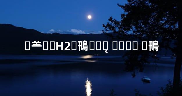 �⺷��H2�鳵��ƽ̨ ���� �鳵